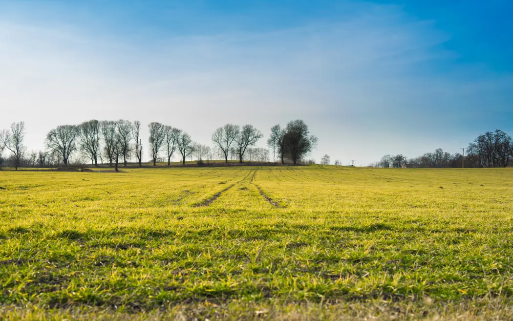 Działka rolna a budowlana - różnice