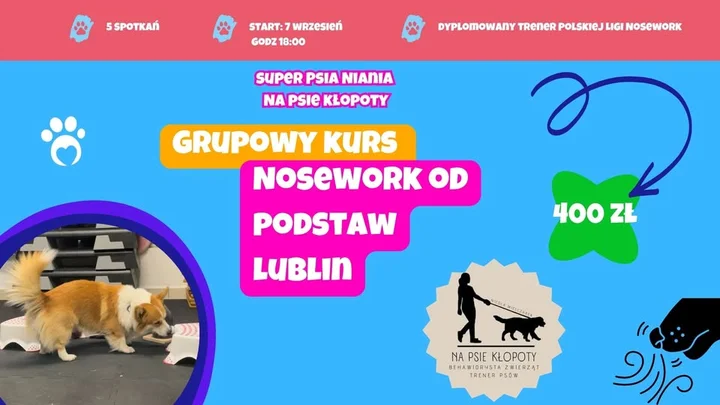 Obrazek przedstawia grafikę promocyjną wydarzenia Grupowy kurs NOSEWORK dla psów — Lublin, start 7 września