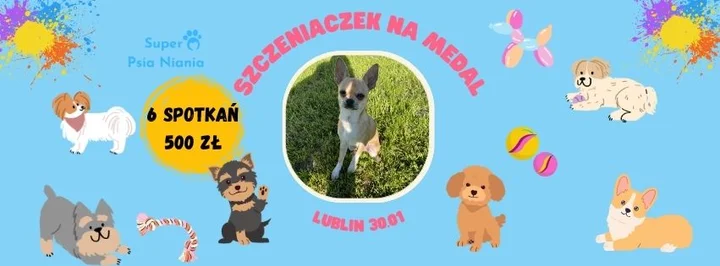 Grafika promocyjna wydarzenia Szczeniaczek na medal — kurs dla szczeniąt w Lublinie