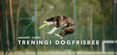 Grafika promocyjna wydarzenia Grupowe treningi dogfrisbee — Lublin