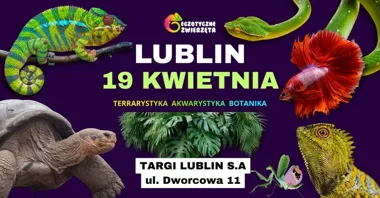 Grafika promocyjna wydarzenia Egzotyczne Zwierzęta w Lublinie: terrarystyka, akwarystyka i botanika w Targach Lublin