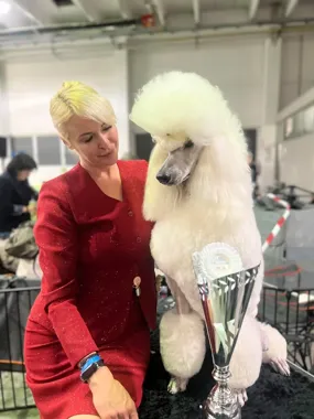 Grafika promocyjna wydarzenia Zajęcia handlingowe Kimi Ka w Lublinie — trening dla psów początkujących i zaawansowanych