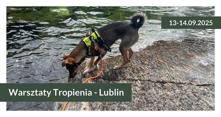 Obrazek przedstawia grafikę promocyjną wydarzenia Warsztaty tropienia dla psów i przewodników w Lublinie