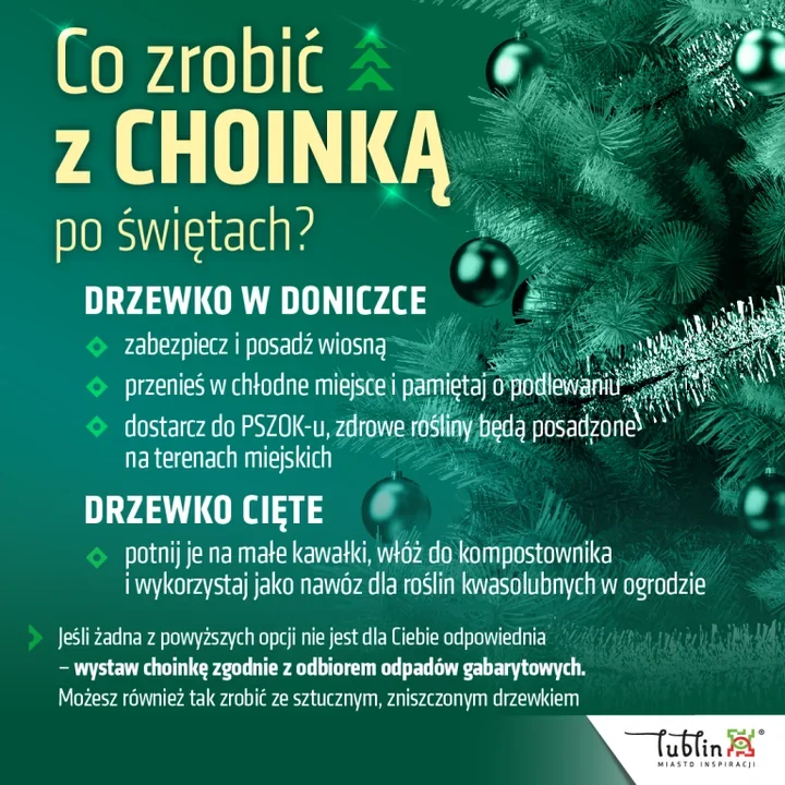 Po świętach choinki z donic znów trafią do miejskich parków